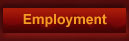 Artisan Pizza Employment